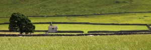 Engeland 2010